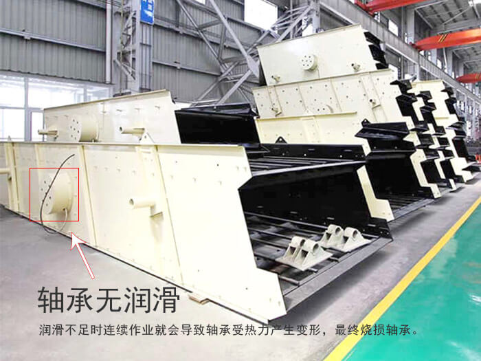 ��ӺY�S��չʾ